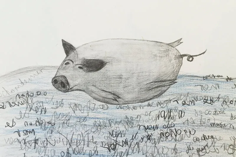 Editions d'art de l'artiste QIN HAN, signées et numérotées sur leurs certificats