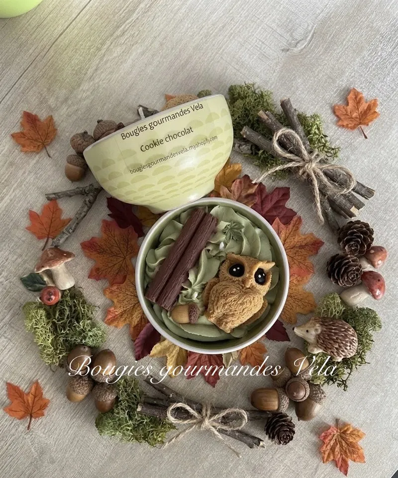 Bougie gourmande automne hibou Bougie parfumée cookie chocolat Bougie chantilly Bougie végétale Idée cadeau