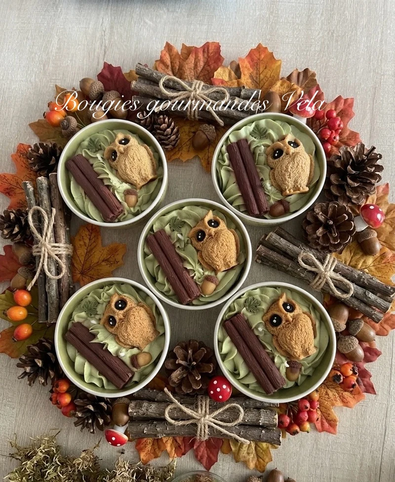 Bougie gourmande automne hibou Bougie parfumée cookie chocolat Bougie chantilly Bougie végétale Idée cadeau