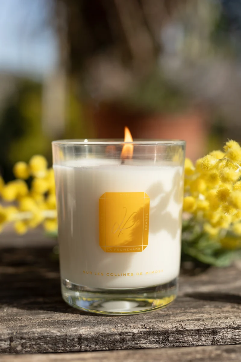 Sur les collines de mimosa - Bougie parfumée
