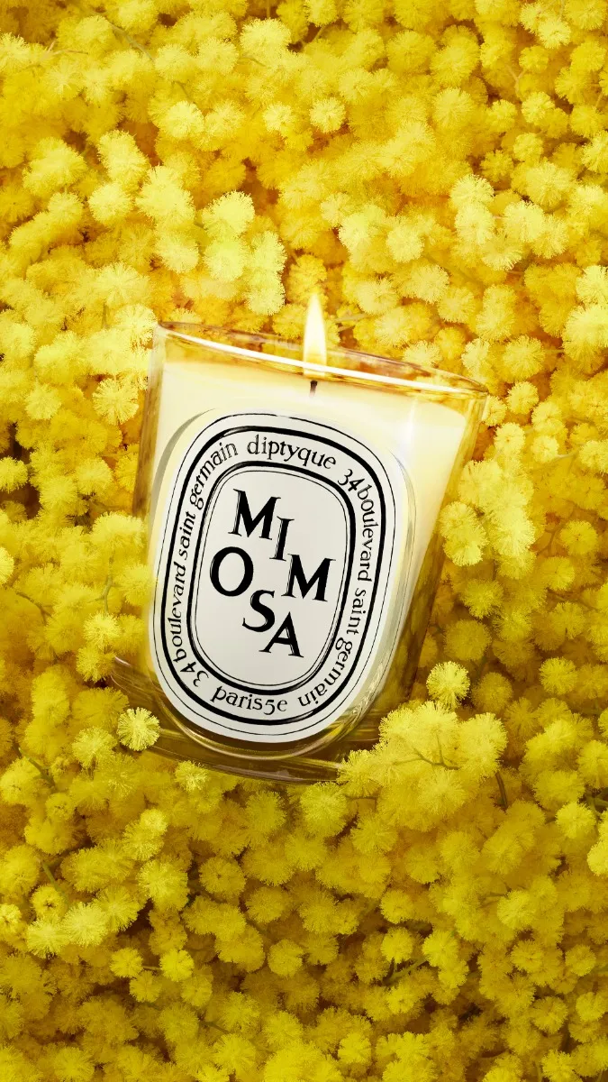 Mimosa - Recharge pour bougie modèle classique
