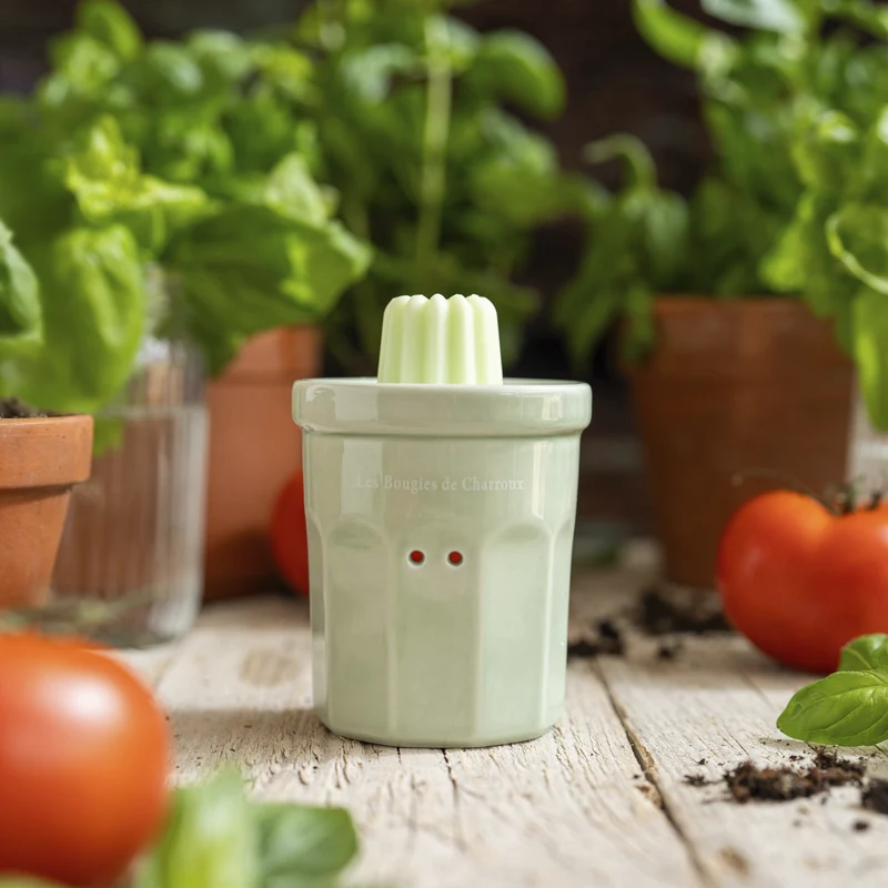 Fondant Tomate Basilic