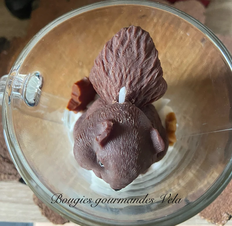 Bougie gourmande parfumée poudre de cacao Bougie écureuil automne Bougie chantilly Bougie artisanale Bougie végétale Idée cadeau
