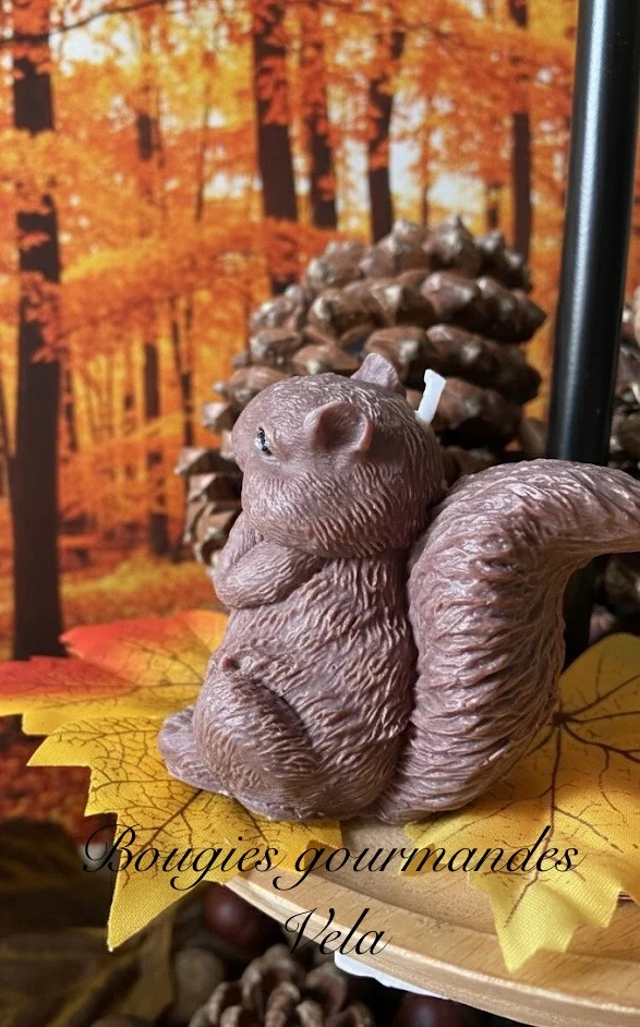 Bougie écureuil Bougie automne Bougie artisanale Bougie végétale Idée cadeau Noel