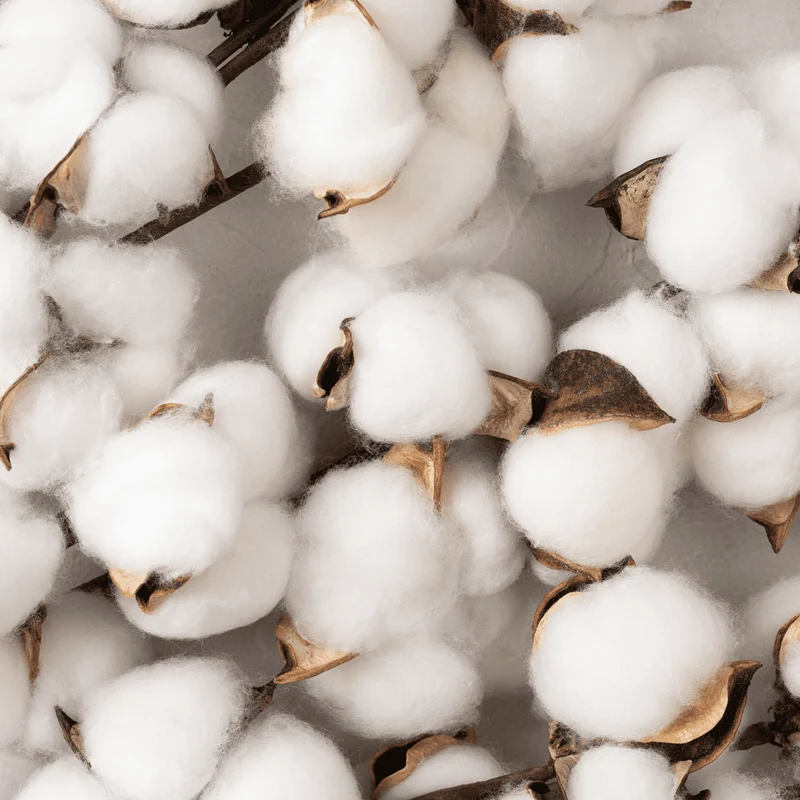Parfum pour bougies et diffuseurs "Fleur de coton V2"