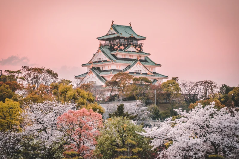 Parfum pour bougies et diffuseurs "Odyssée japonaise V2"