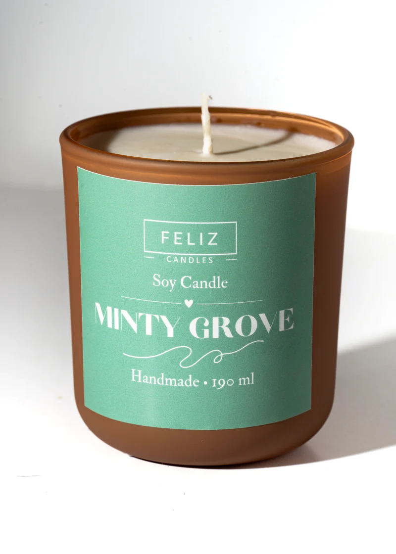 Sojakerze Minty Groove
