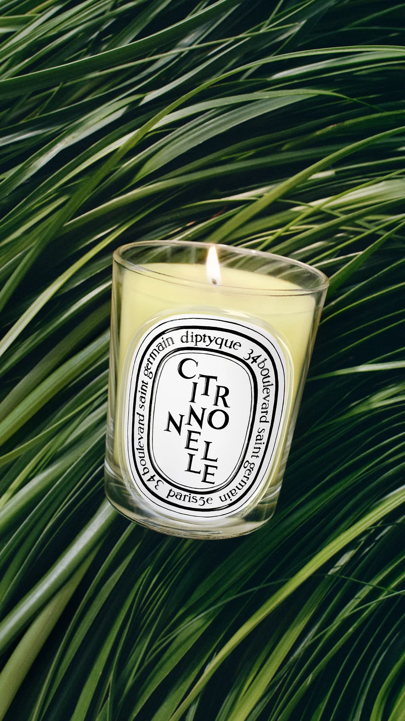 Citronnelle - Bougie modèle classique