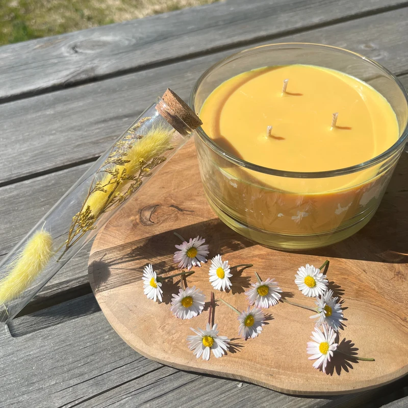 Kit DIY de fabrication de bougie Citronnelle