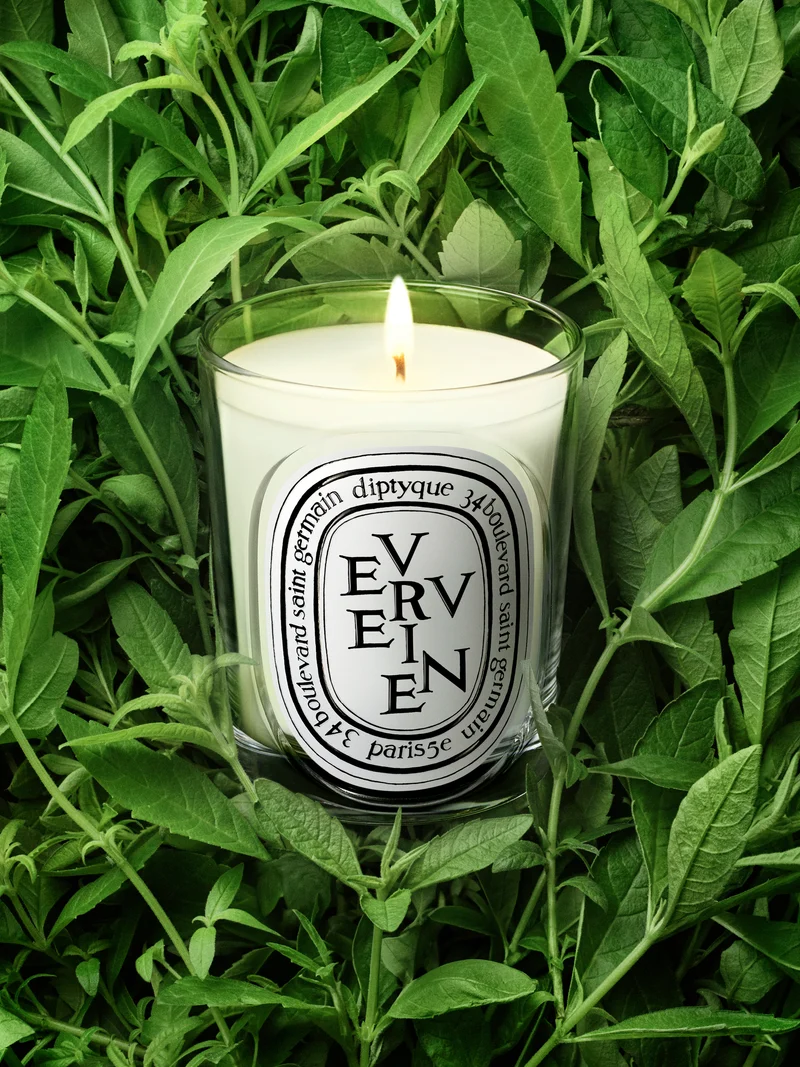 Verveine - Bougie modèle classique