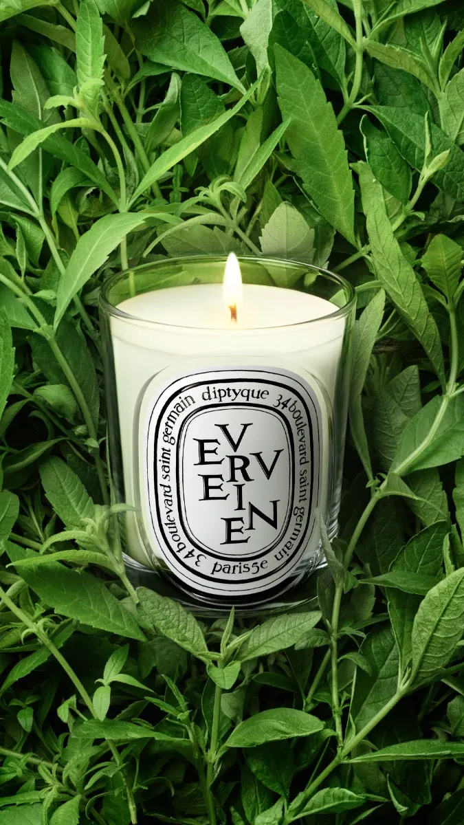 Verveine - Bougie modèle classique