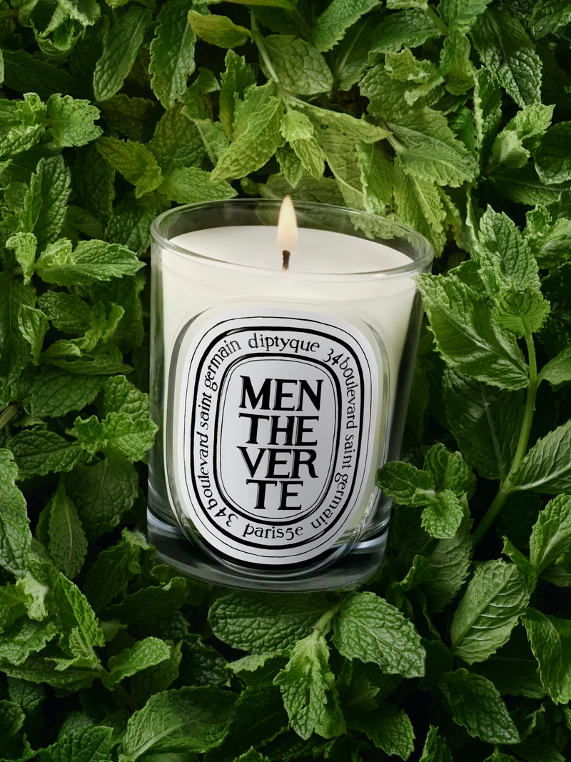 Menthe Verte - Bougie modèle classique