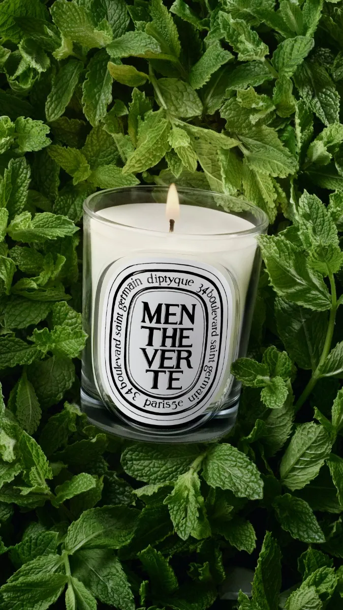 Menthe Verte - Bougie modèle classique
