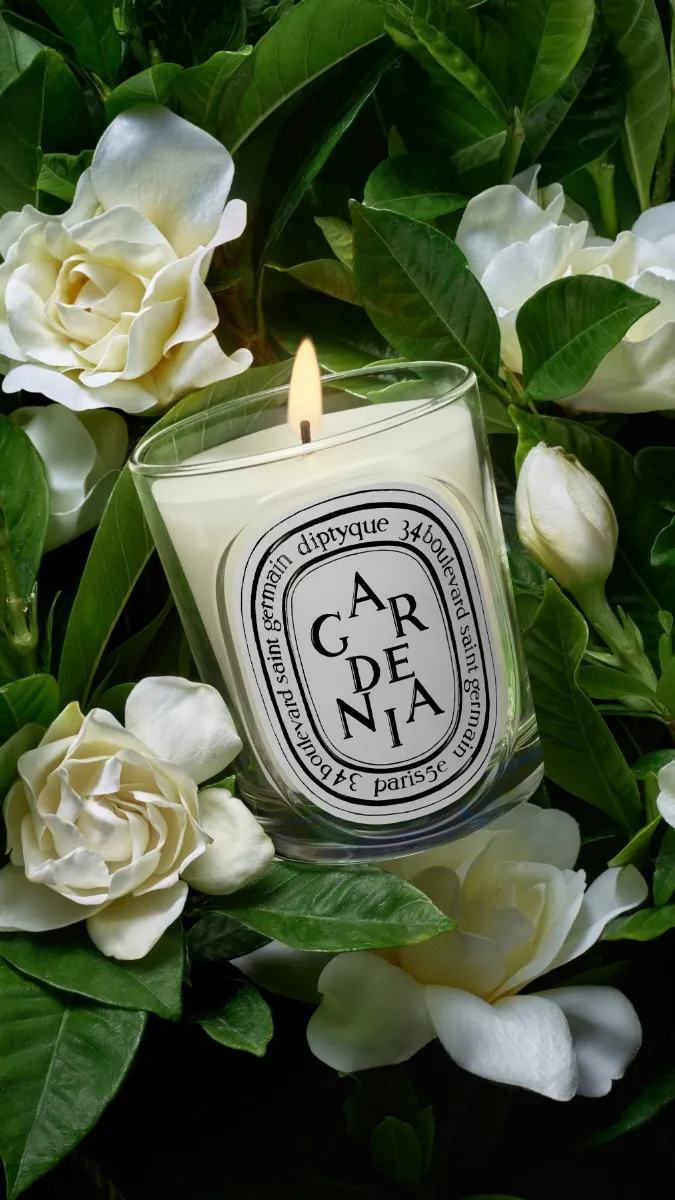 Gardénia - Bougie modèle classique
