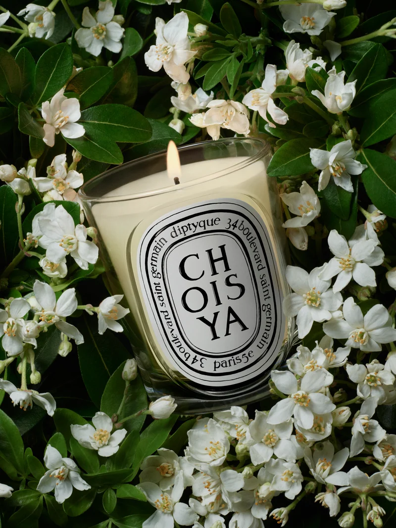 Choisya - Bougie modèle classique