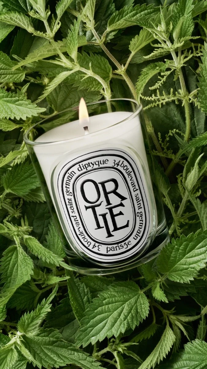 Ortie - Bougie modèle classique