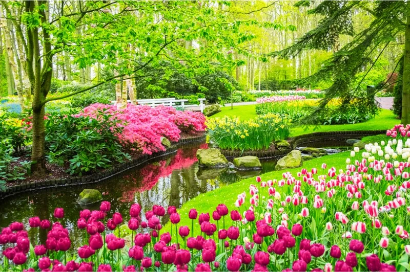 Parfum pour bougies et diffuseurs "Jardin floral - V2"