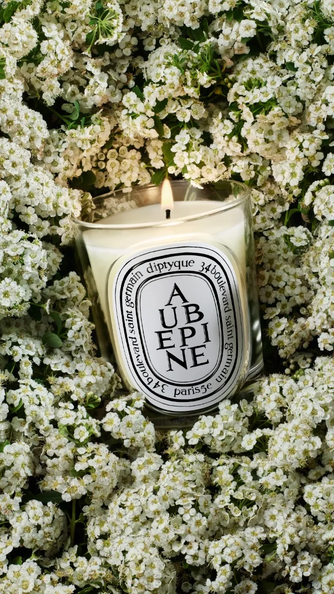 Aubépine - Bougie modèle classique