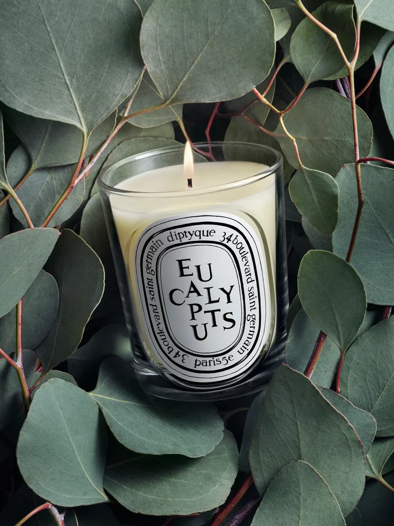 Eucalyptus - Bougie modèle classique