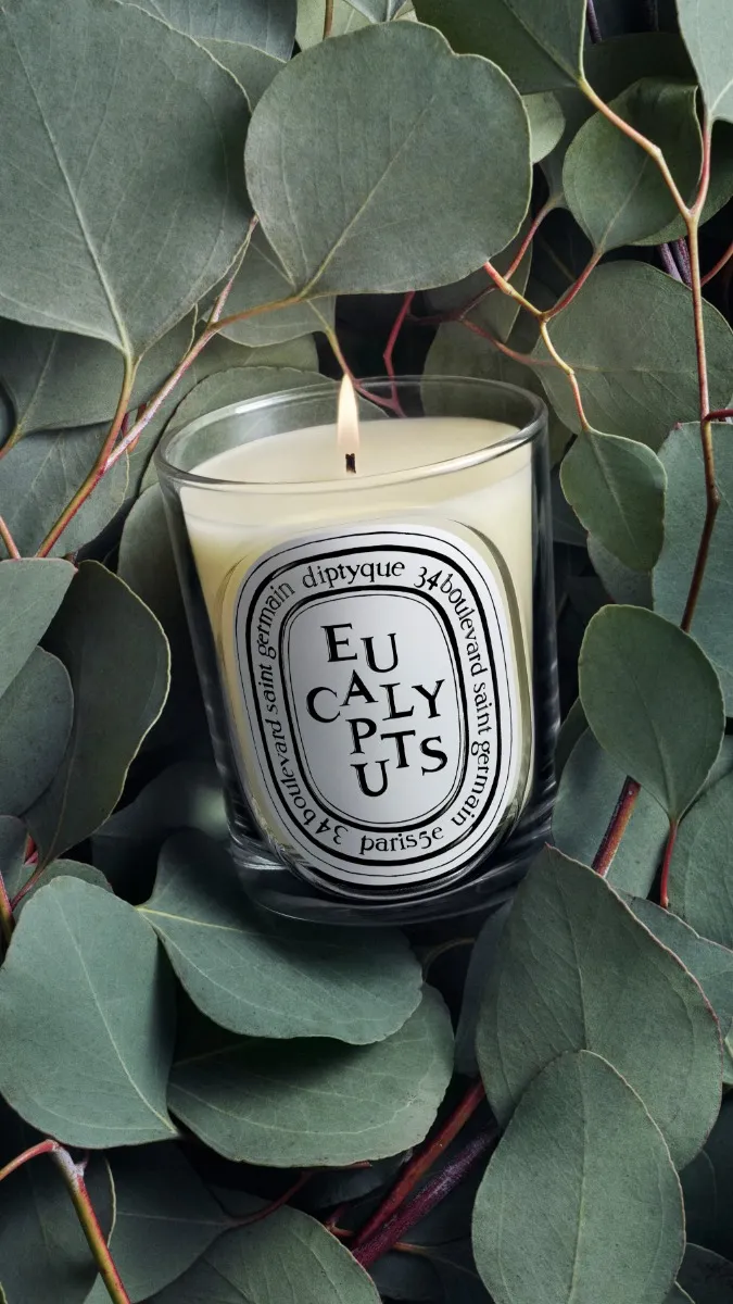 Eucalyptus - Bougie modèle classique