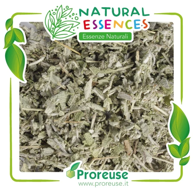 Salvia officinale foglie triturate - 100 gr