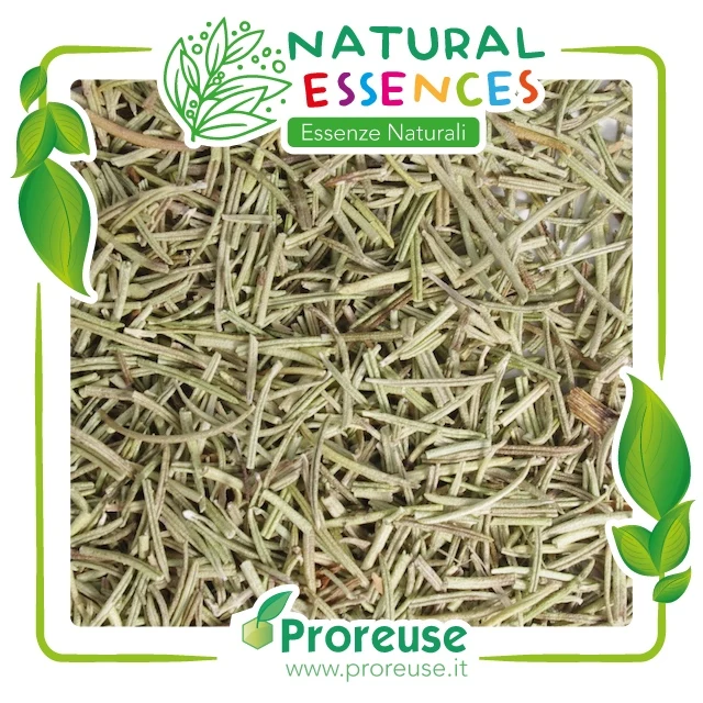 Rosmarino foglie monde intere - 100 gr