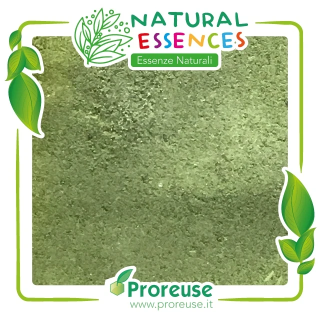 Moringa oleifera foglie macinate in polvere - 100 gr