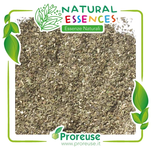 Menta piperita foglie monde taglio filtro - 100 gr