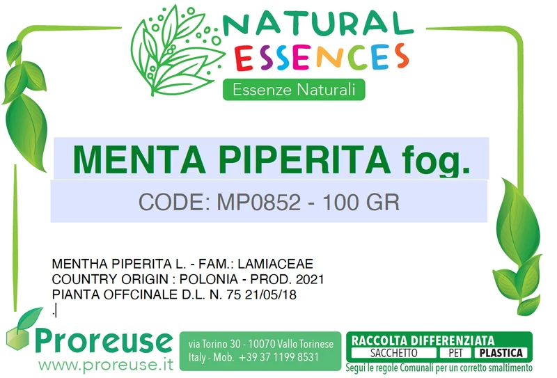 Menta piperita foglie monde taglio filtro - 100 gr