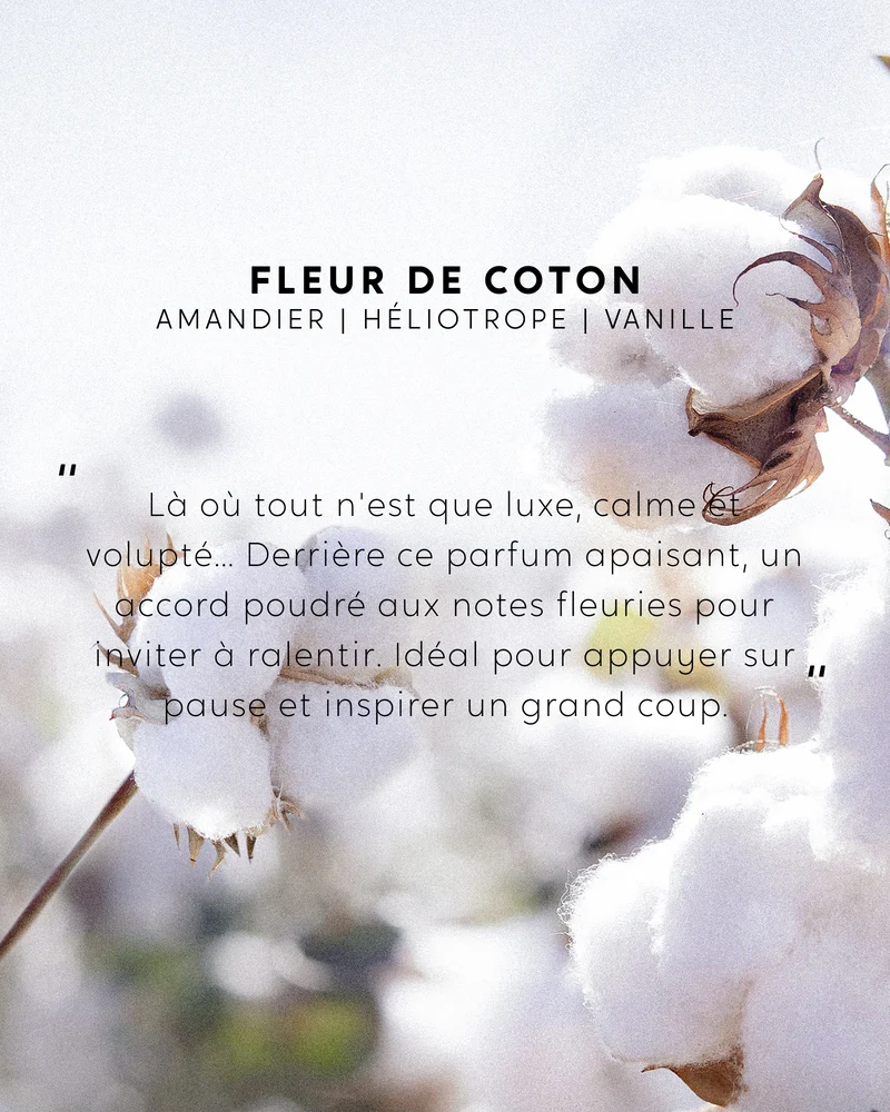 Recharge Fleur de Coton et brins