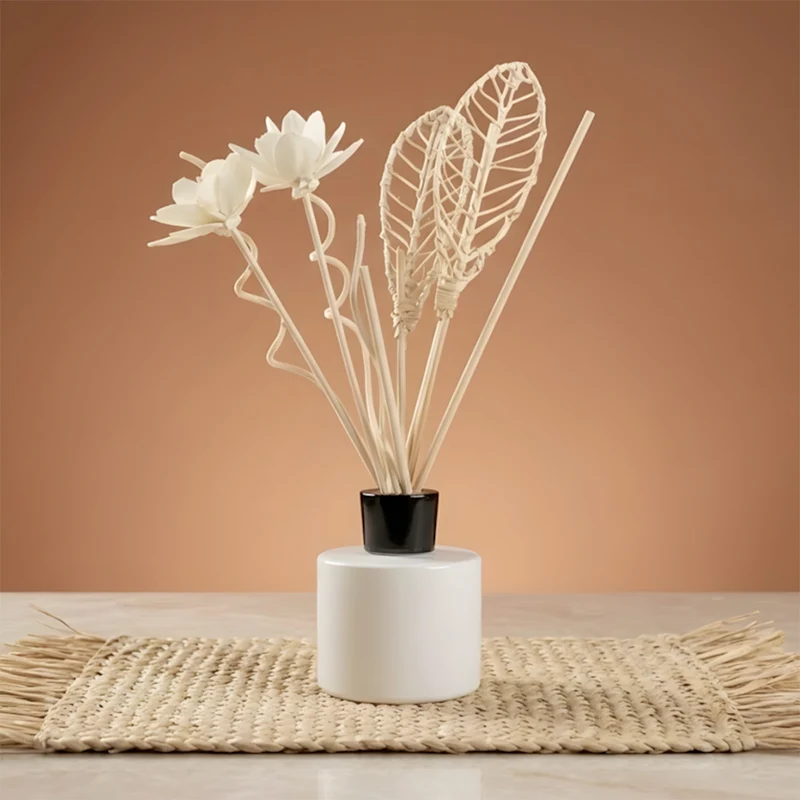 Pack de tiges pour diffuseurs