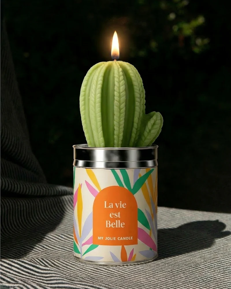 Bougies Cactus