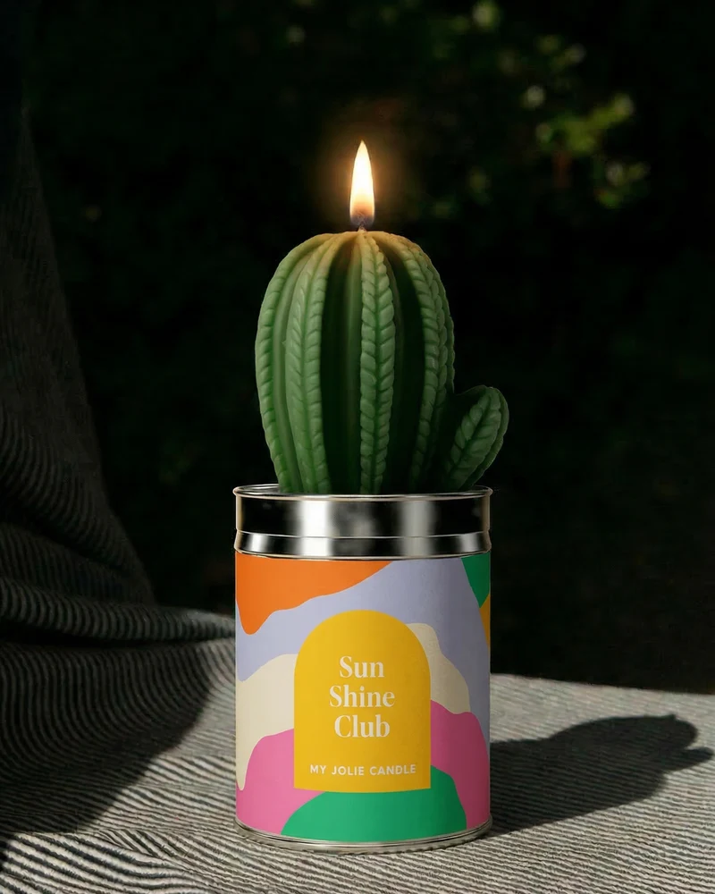 Bougies Cactus