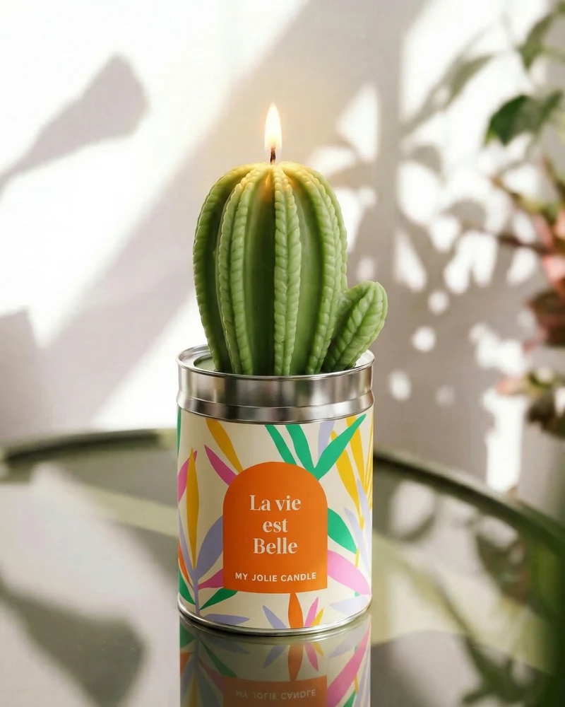 Bougies Cactus