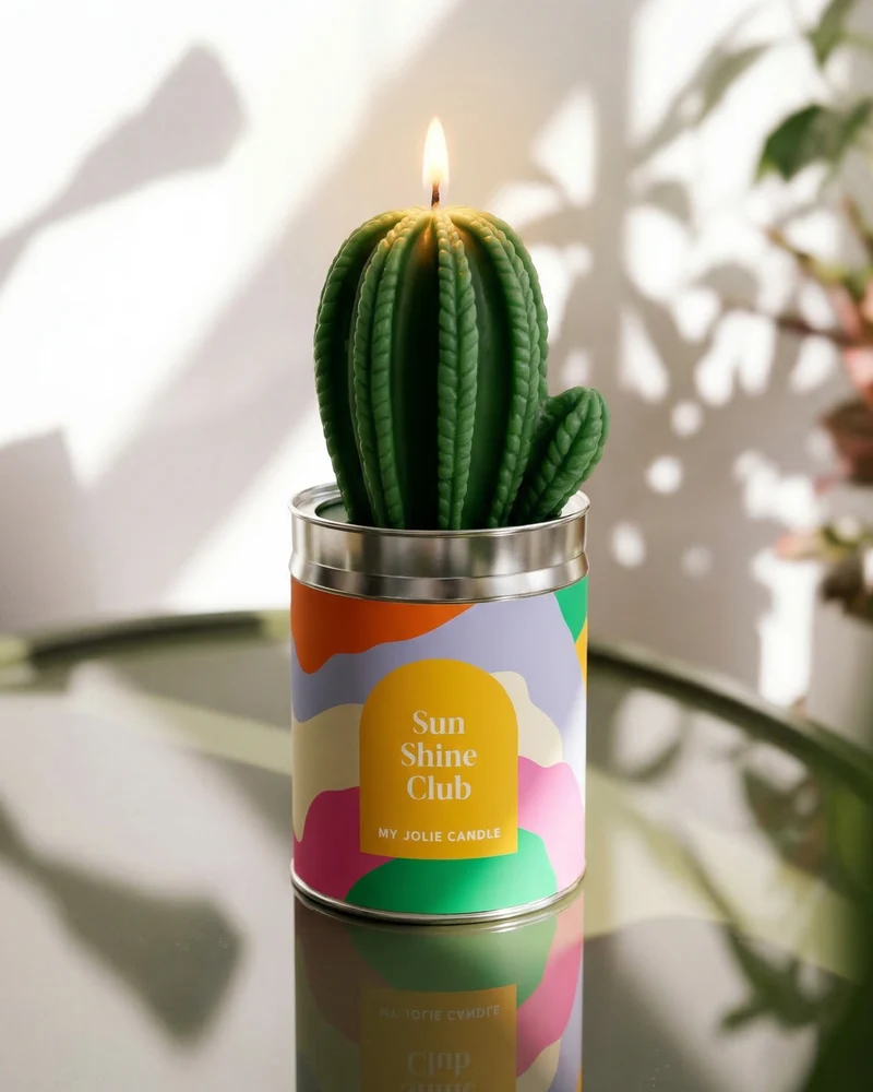 Bougies Cactus