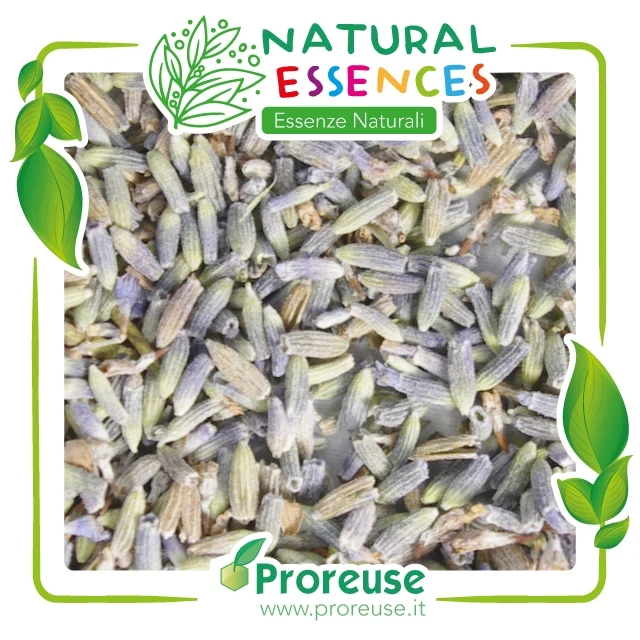 Fiori di lavanda - 100 gr