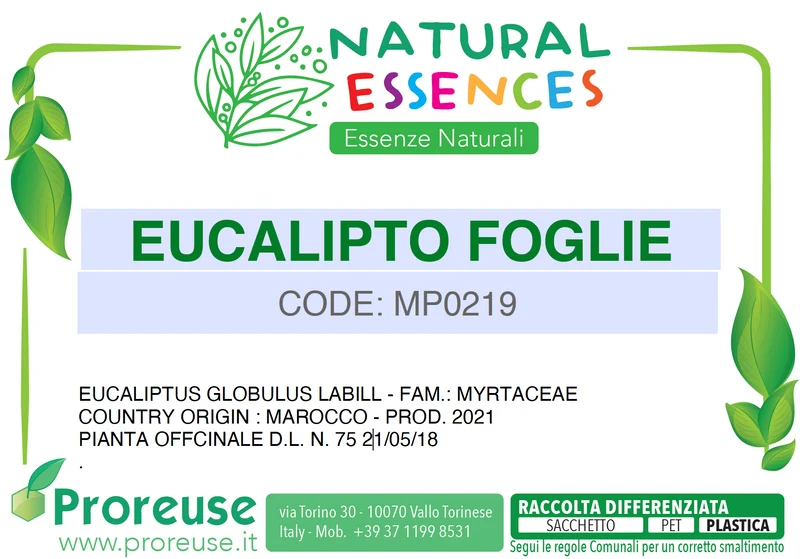 Eucalipto foglie intere - 100 gr