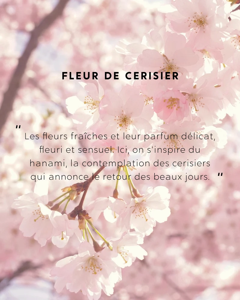 Grande bougie Fleur de Cerisier
