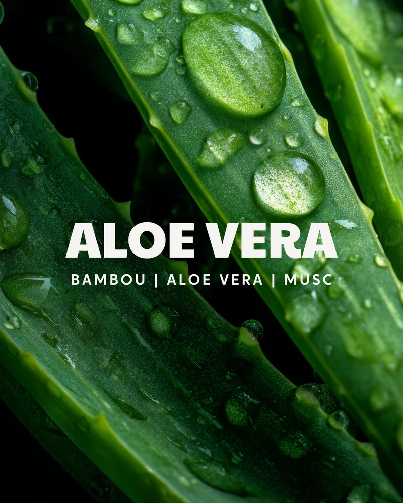 Bougie parfumée Aloe Vera