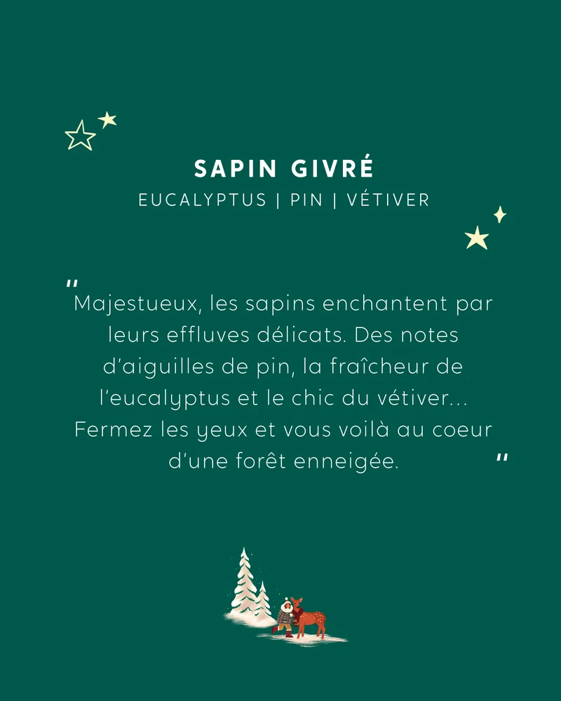 Coffret La Forêt Enchantée