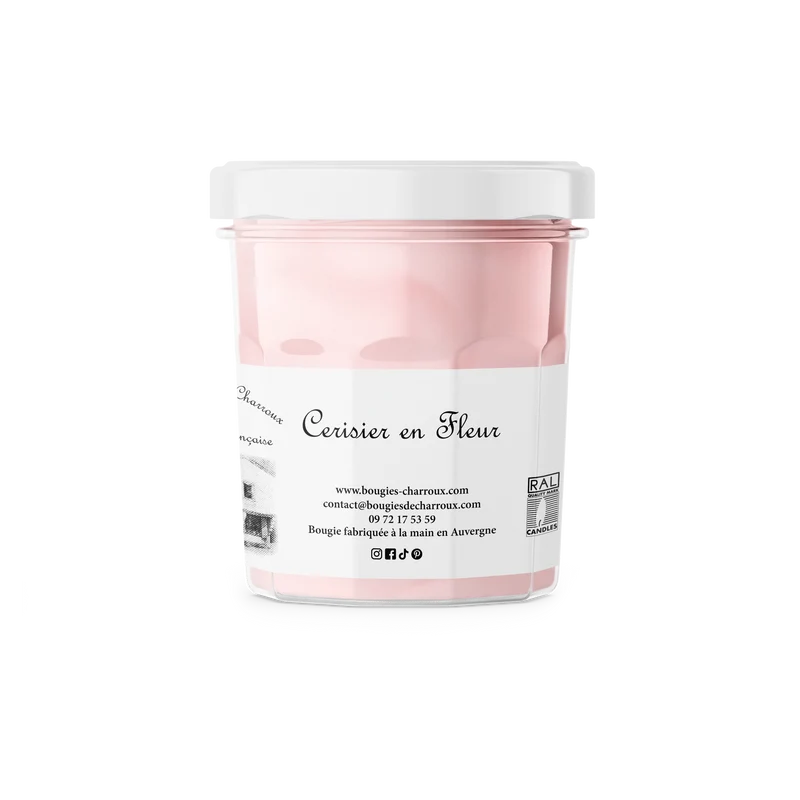 Cerisier en Fleur