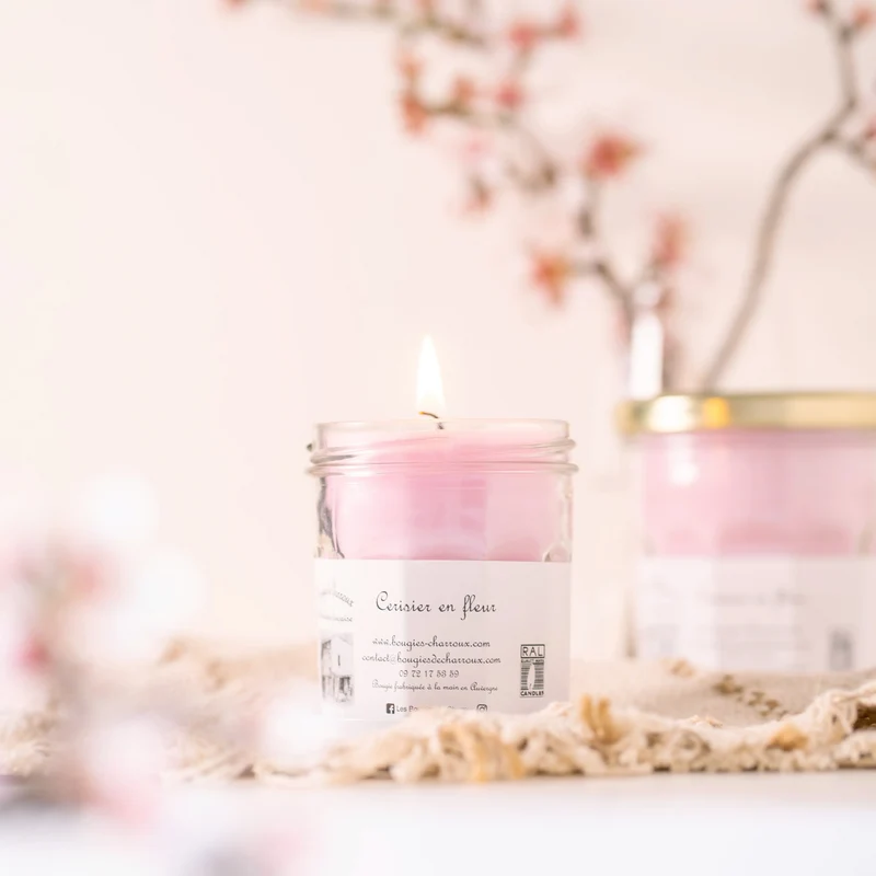 Cerisier en Fleur