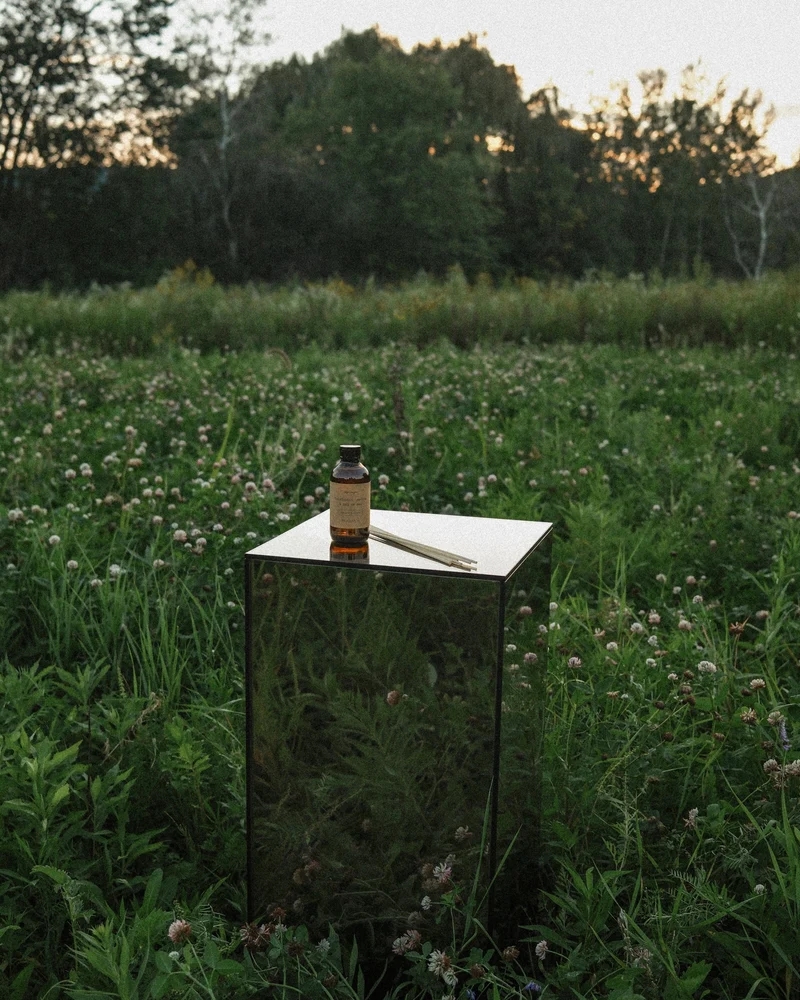 Diffuseur à roseaux — Eucalyptus, menthe & sel de mer