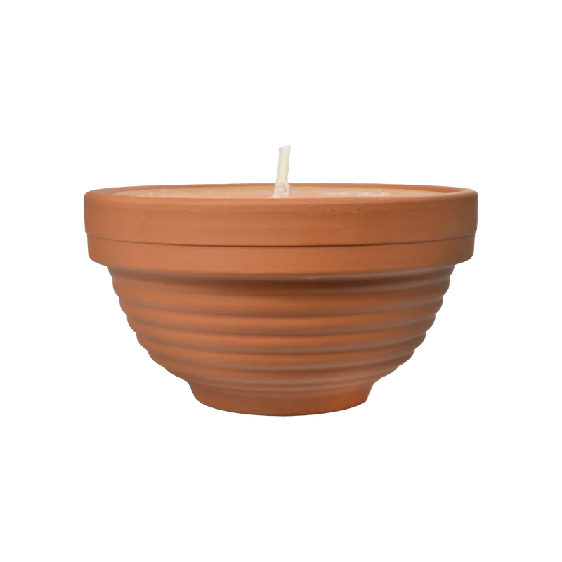 Citronnelle extérieure Orange