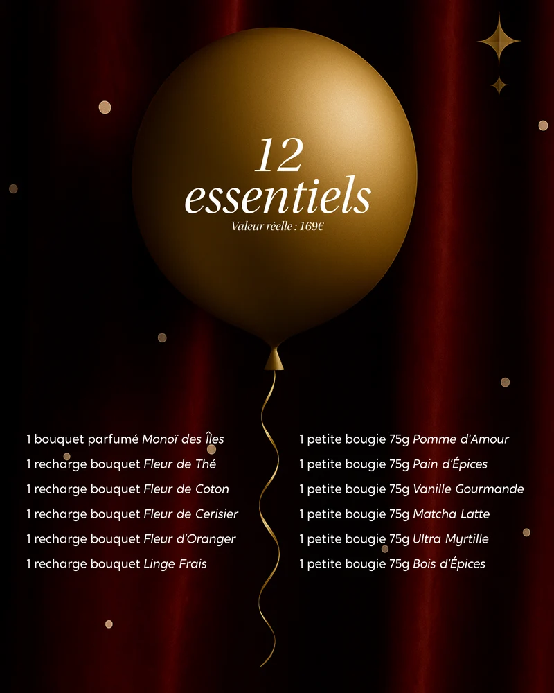 Coffret 12 surprises de Noël