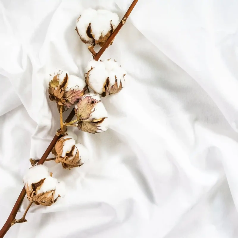 Fleur de cachemire - Parfum pour lessive
