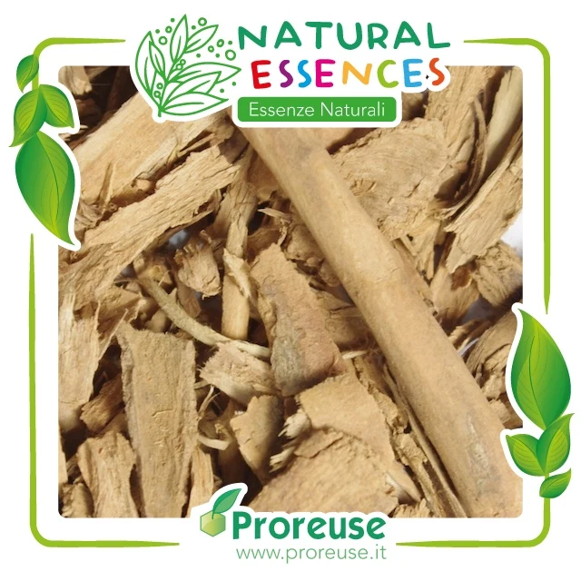 Cannella Ceylon corteccia rottami - 100 gr