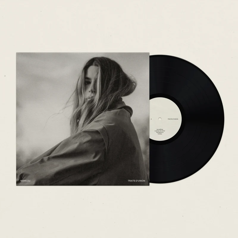 Traits d'union (vinyle)
