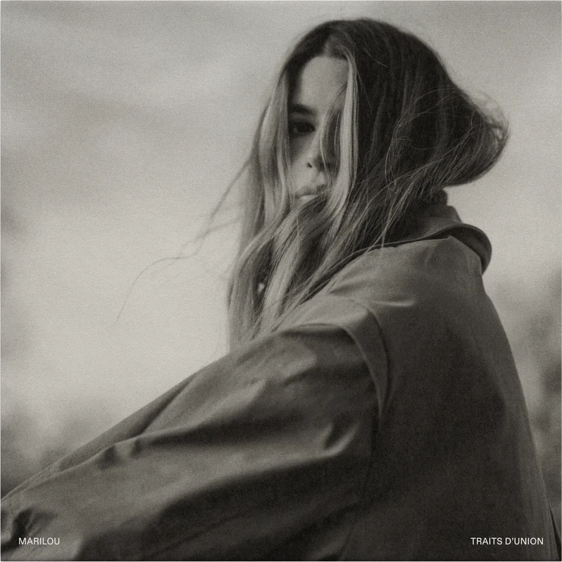 Traits d'union (vinyle)