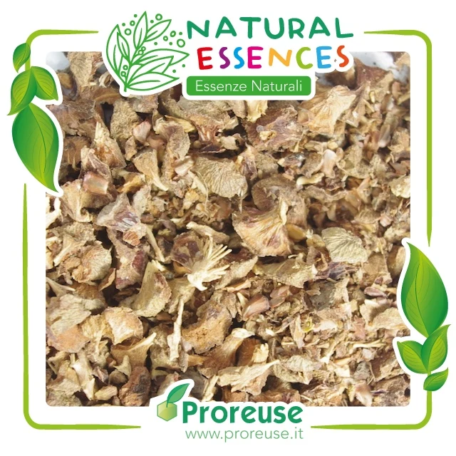 Bacche di cipresso triturate ( garbuli) - 100 gr